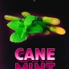 Купить Duft - Cane mint (Тростниковая мята, 80 грамм)